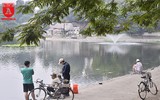 Đàn thiên nga ở hồ Thiền Quang vẫn có nguy cơ bị thương do lưỡi câu